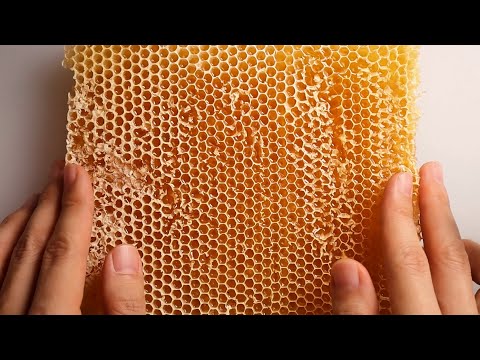 ASMR Most Satisfying Honeycomb Triggers 🍯🐝 ASMR 재료는 벌집꿀로 하겠습니다. 근데 이제 밀랍랩을 곁들인.