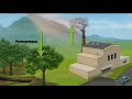 Carbon Cycle and Atmospheric Effects