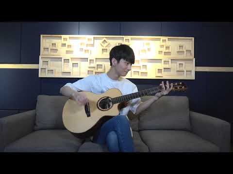 (Ed Sheeran & Justin Bieber) I Don't Care - Sungha Jung