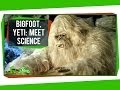 Cryptozoology and Anomalous Primates