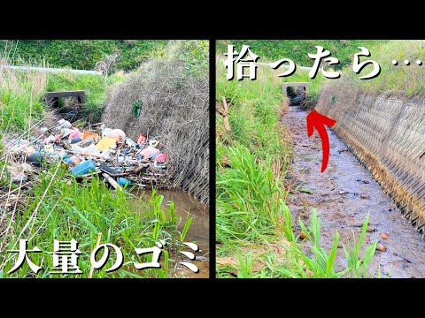 離島に漂流した異常な量のゴミを回収すると奥には大量の生物が！！？