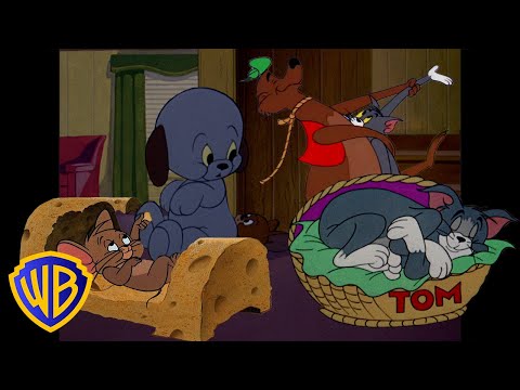 Tom & Jerry in italiano 🇮🇹 | Giornate al calduccio con Tom e Jerry 🍁 | @WBKidsItaliano​