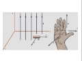 Right-Hand Rule for Magnetic Forces