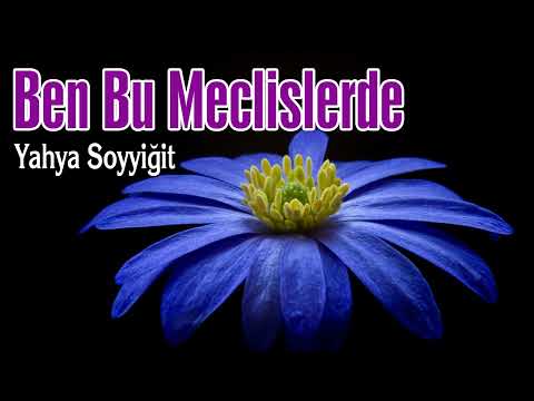 Ben Bu Meclislerde - Yahya Soyyiğit