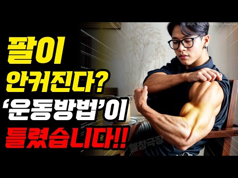 팔 키울 때 절대하면 안되는 바보같은 짓!? [팔운동 모음집]