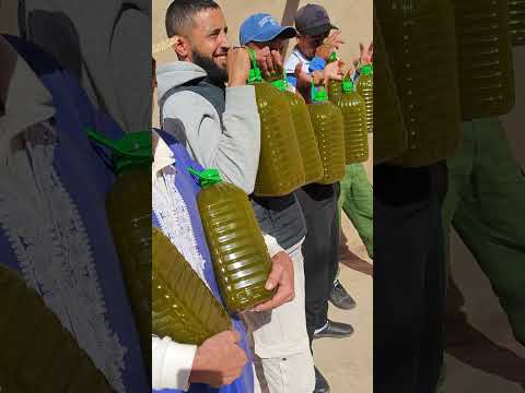 ها زيت الزيتون البكر الممتازالجودة اللهم بارك قلعةالسراغنةبتاريخ29/10/2025اثمنة #الزيت75dhللتر_الواح