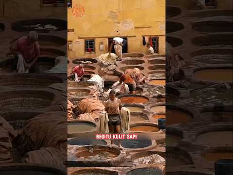 Rahasia Kulit Berkualitas Tinggi dari Meksiko