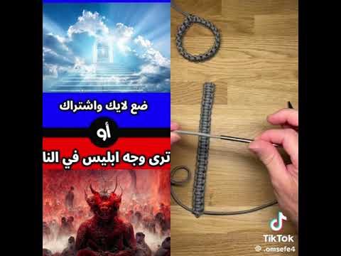 ٢٥ نوفمبر، ٢٠٢٤