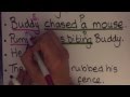 Understanding Sentence Structure Components
