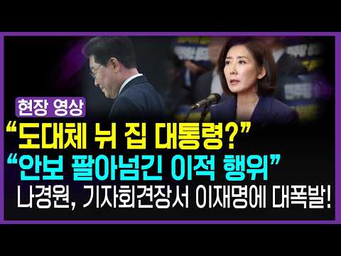 "북한 비위 맞추고도 돌아온 것은..." 나경원 기자회견서 폭탄 발언!