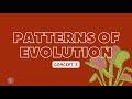 Evolutionary Patterns and Processes