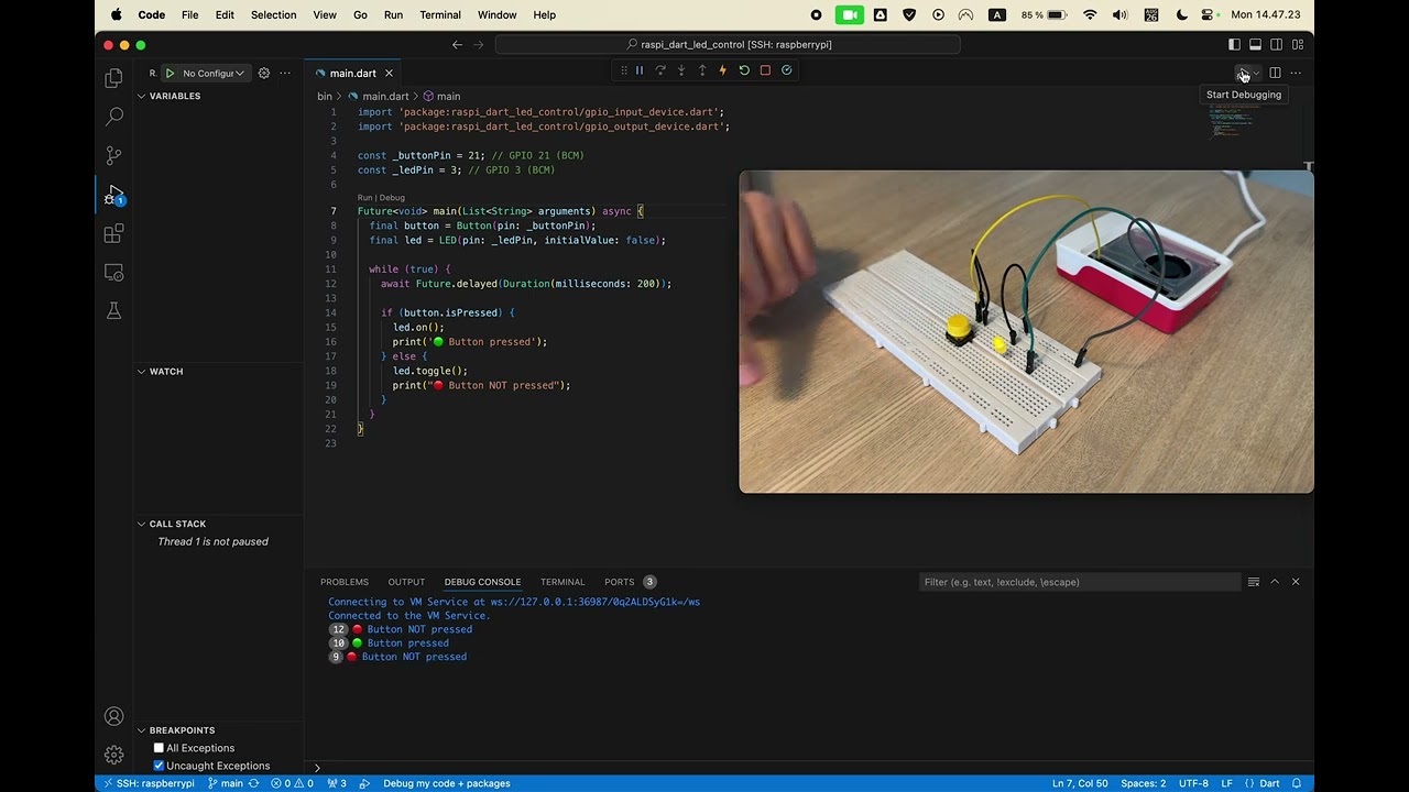 Video Demo
