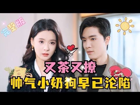 [MULTI SUB] 💕 梁思伟×孟娜✨婚礼当天未婚夫因为前女友的一个电话逃婚，南晚转身包养帅气年轻的小奶狗，却没想到小奶狗居然是京圈太子……#短剧 #drama#MiniDrama #精彩大陆短剧