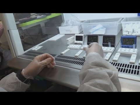 En Austria las farmacias ofrecen test rápidos de covid por 20 euros
