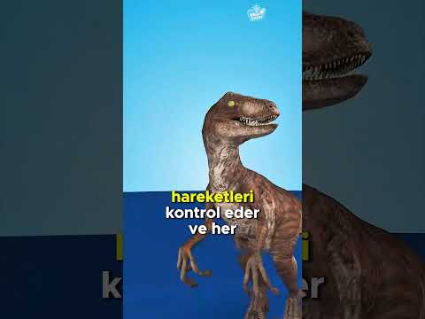 Dinozorun İçinde İnsan Var! 🦖🎬😮