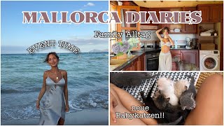Pablo findet NOCH eine Babykatze!! & dreamy mallorca event