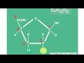 Sanger Sequencing Techniques and Concepts