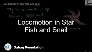 Locomotion in Star Fish and Snail