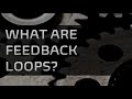 Feedback Loops and System Interactions
