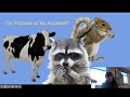 Columbian Exchange and Its Impacts