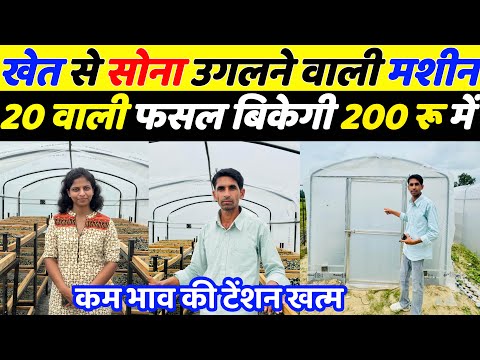 अब कम भावों की छोड़ो टेंशन 20 रुपए किलो वाली फसल बिकेगी 200 में | New business idea | Agriculture