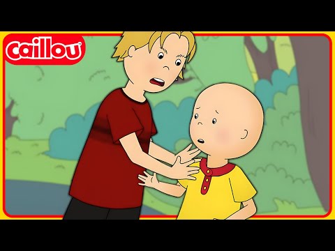 El nuevo compañero de clase de Caillou | Las Nuevas Aventuras de Caillou | Temporada 3: Episodio 30