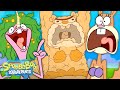 Pecan Zandy's Emotional Journey