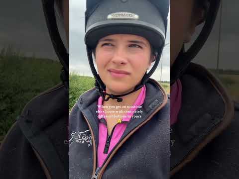 Humbling experience #equestrianjourney #horse #equestrian #horsegirl