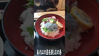 【江の島】江の島デートを楽しんできたよ