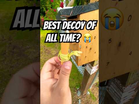Is this the BEST decoy you’ve ever seen? Wait until the end to find out this Geocache’s secret 😭