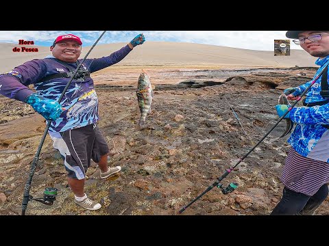 Caballas, cabrillas, corvinas y lenguados; de todo un poco. || Various lure fishing.