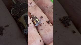 👑🍀⛏️encontré un pequeño arete de oro