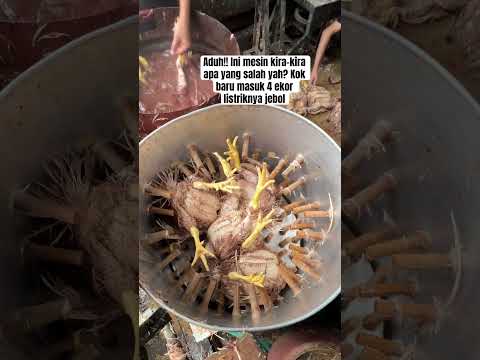 Bisa rugi kalau begini, skill potong daging ayam #cuttingskills #chicken #shorts #short