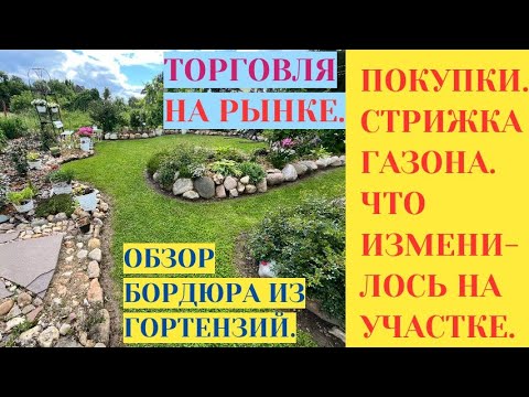 ОБЗОР БОРДЮРА ИЗ ГОРТЕНЗИЙ / ПОКУПКИ / ТОРГОВЛЯ НА РЫНКЕ