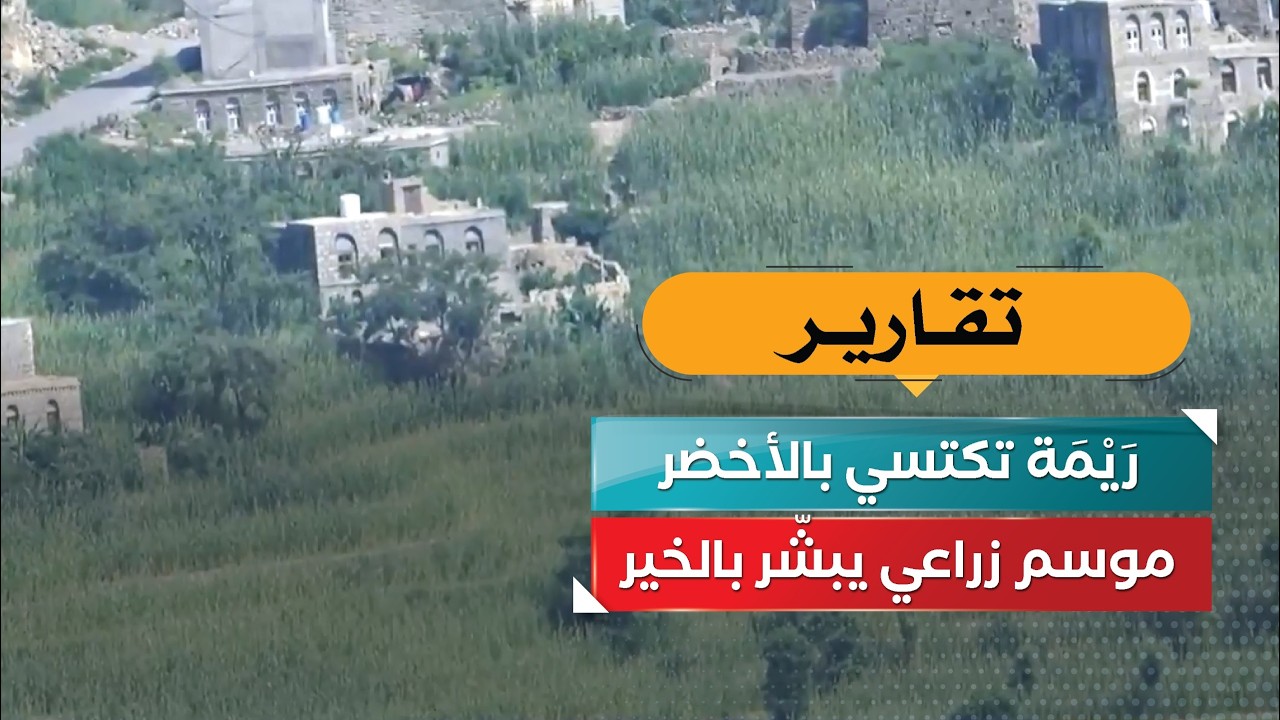 قناة السعيدة
