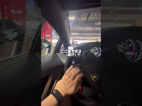 アベンタでウルス凸られた駐車場に来たら狭過ぎてヤバい #ランボルギーニ #りっきー社長