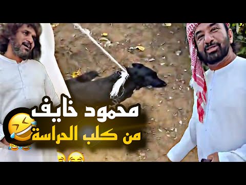 محمود خايف من الكلب الحراسة 😂😂😂