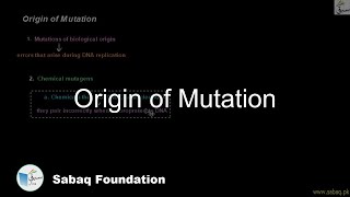 Origin of Mutation