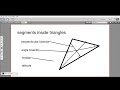 Triangle Segments and Their Properties