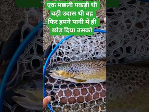 #love एक मछली बड़ी उदास थी देखो क्या हुआ चैनल को सब्सक्राइबकर लेना