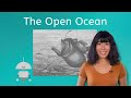 Marine Ecosystems and Pollution Effects