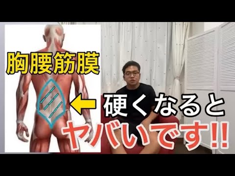 【座ったまま】反り腰で下腹ぽっこり・パツパツ前ももを解消する腸腰筋ストレッチ