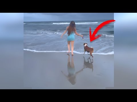 10 Videos de Terror y lo desconocido que puedes encontrarte en TikTok