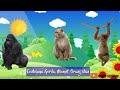 Animal Diets: Herbivores, Carnivores, Omnivores