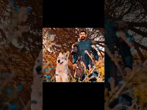 Osman bey🔥met gokboro || Angry🐕 Dog's || Ottoman-FA #trending #shorts #short #angry #viralvideo