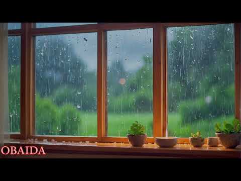 Rain on Window: Nature's Serenade with Hypnotizing Crackling Sounds