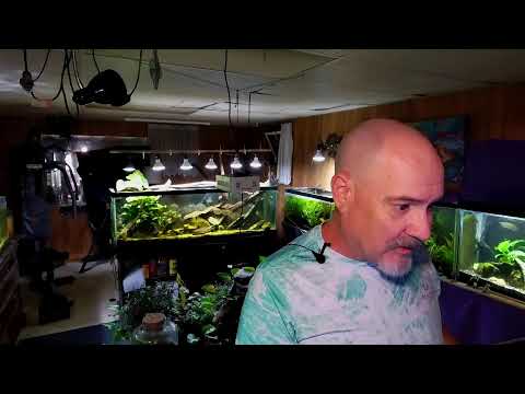 Sunday Fish N Hits II Join this channel to get access to perks_
https_//www.youtube.com/channel/UCBdxLXjOdp26Ke8NQRt7eBg/j