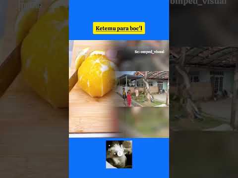 ketemu para boc'l #ompedvisual #tipetipeomped