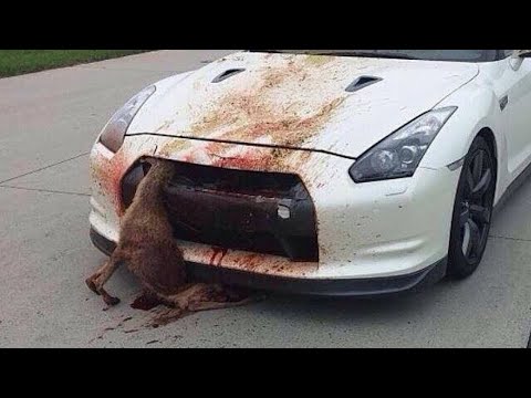 SHOCKING Moments Of Car FAILS Compilation 2024 - Idiots In Cars Caught On Camera - BAD DRIVERS