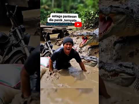 MENEGANGKAN😱😱😱"RABU 19 NOVEMBER 2025 12:20#komarudinnew